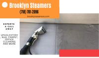 Brooklyn Steamers image 2